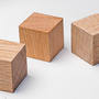 Игровой набор Фребеля "Кубики" (48 шт., бук, серия "Красота вокруг нас")